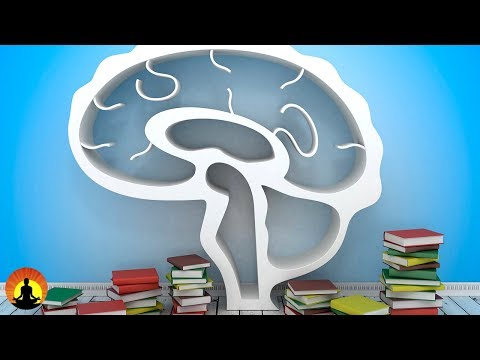 2 Hour Study Music Brain Power: Focus Concentrate Study, ☯130