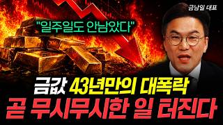 "일주일도 안남았다" 금값 43년만의 대폭락. 곧 무시무시한 일 터진다｜금남일 대표 1부