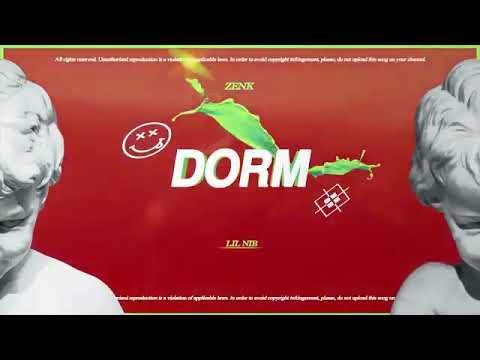 Lil Nib X Zenk - Dorm (Audio)