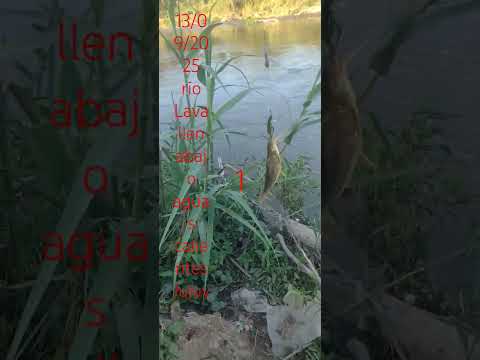 #rio Lavallen #jujuy #lindo para lugar  pescar