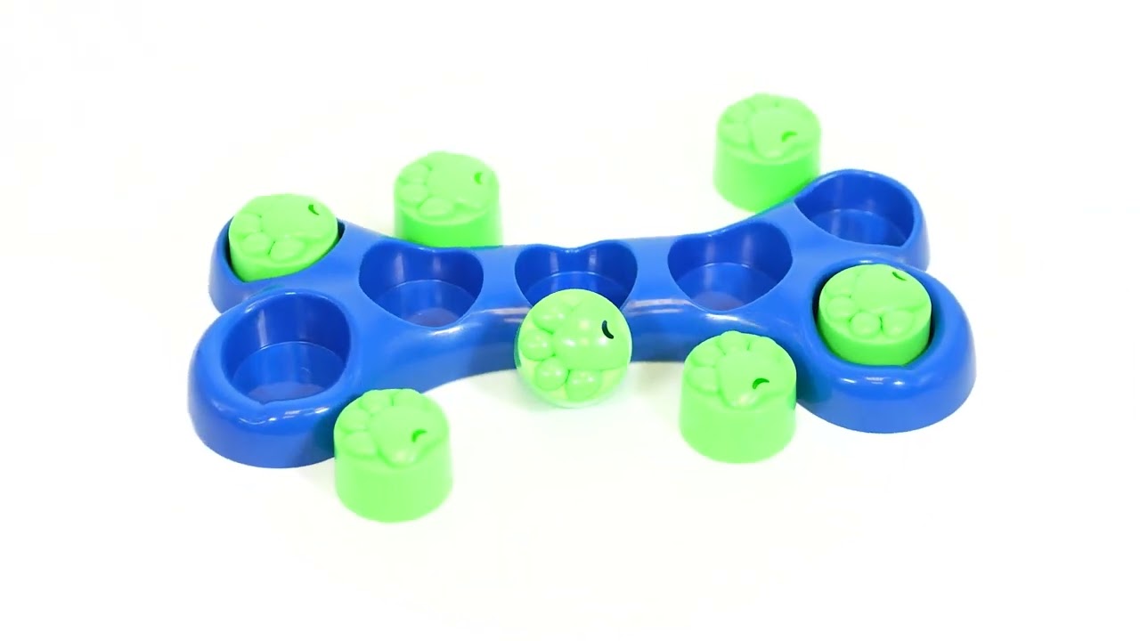 Interactive Bone Dog Treat Toy