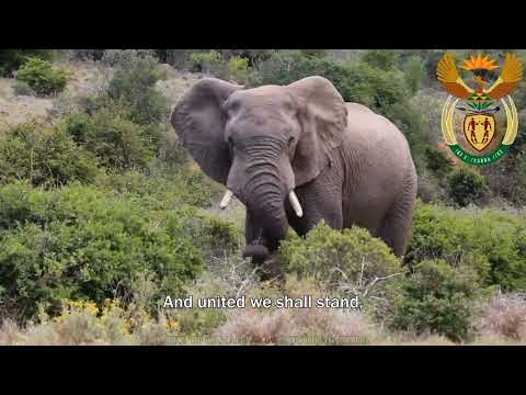 National Anthem of South Africa: Nkosi Sikelel' iAfrika / Die Stem van Suid-Afrika