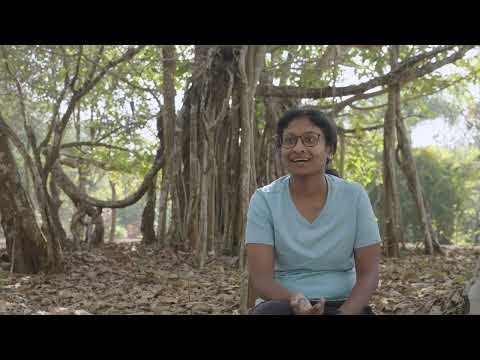 STUDIO FILM FOR SANGAM, NMACC - Ranjani Shettar