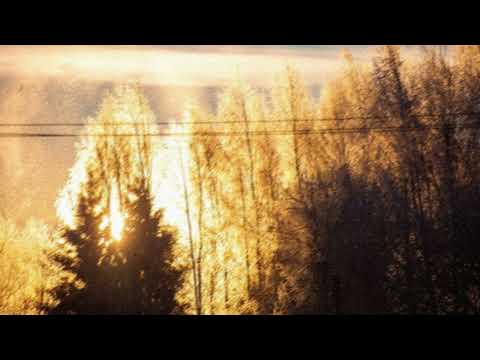 [free] post-hardcore / emo 90s type instrumental - "i wish i could" (wisssery)