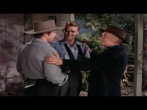 The Untold Tragedy of Alan Ladd - What Hollywood Chose to Forget
