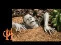 The Wolfetones : Halloween Song (slideshow vid ...