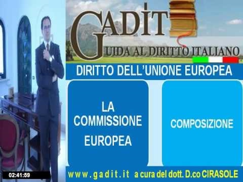 4.1. La Commissione europea.wmv