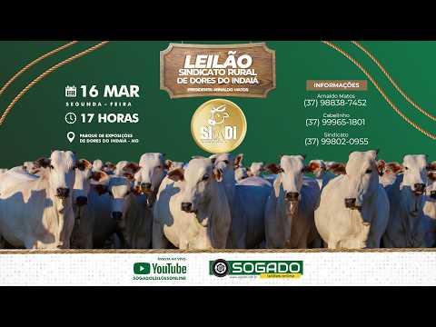 LEILÃO DO SINDICATO RURAL DE DORES DO INDAIÁ/MG - 16/03/2026