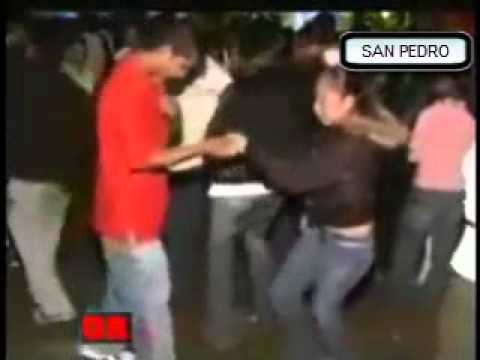 GRUPO SAN PEDRO.. la mosca y el mosquito