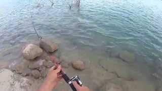 Yo-zuri l minnow 66 м37