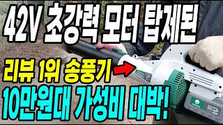 42V 초강력 모터 탑제한 리뷰1위 송풍기! 10만원대 가성비 대박인 강력한 경량 대포 송풍기!