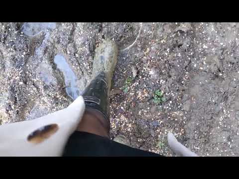 ASMR | Come walk in the woods with me | Frozen crunching and muddy squelching sounds | Black Sheers