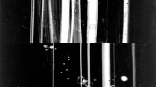 Fort Romeau & New Jackson - Not A Word