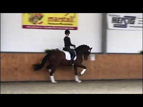 Impressionen von Fusionist