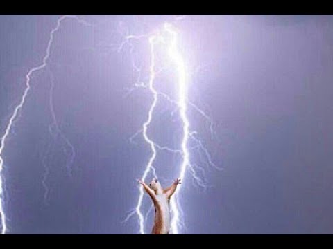 [Grim Dawn 1.1.9.3] Light's Defender Vindicator