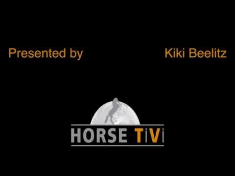 Hengstfohlen Gentleman x Escudo II