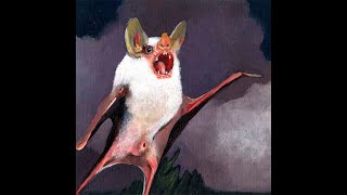 Ninos Du Brasil Ft. Arto Lindsay - Vagalumes Piralampos (Official Audio)