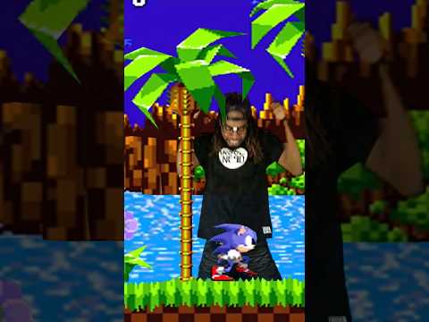 Sonic Green Hill Zone Nerd Smash