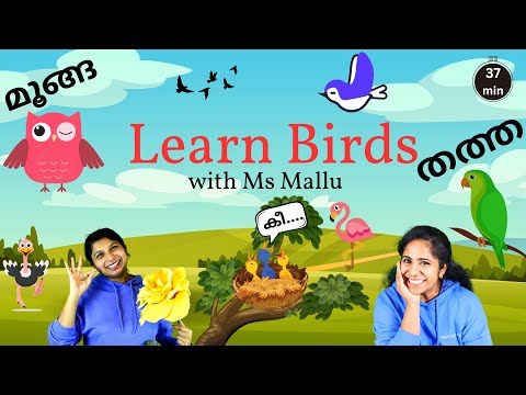 Learn Birds with Ms Mallu | Toddler Learning Videos | Nursery Rhymes