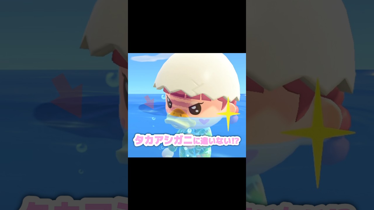 1匹だと寂しそうだったので仲間を召喚…？！？！#あつ森 #どうぶつの森 #あつまれどうぶつの森 #どう森 #shortvideo #ゲーム #short #shorts #あつ森タカアシガニ