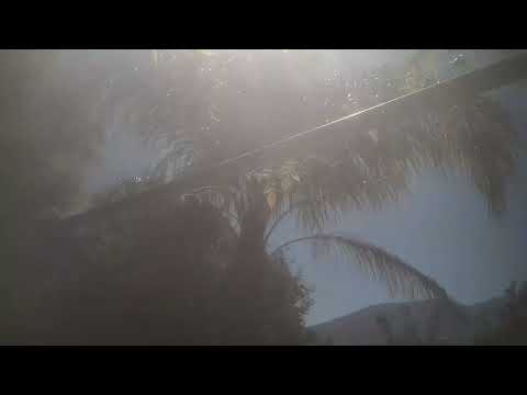 Madera Sagrada thumbnail