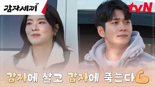 ※국내 최초 감자 예능※ 제주도로 총출동한 감자연구소 출연진들에게 주어진 미션! #감자세끼 | tvN 250222 방송