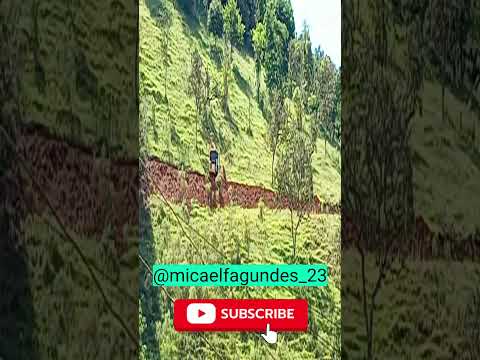 dia de trabalho da Cemig  em côrrego da mata (dores de Guanhães) MINAS GERAIS