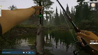Утренний Клёв Ultimate Fishing Simulator 2