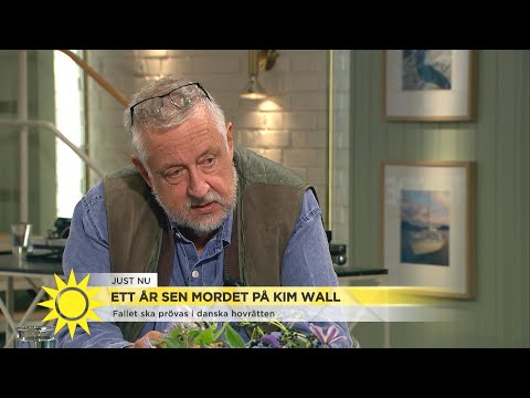 Ett år sedan mordet på Kim Wall  "Fenomenalt polisarbete" - Nyhetsmorgon (TV4)