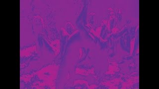 Bardo Pond ‎- Acid Guru Pond