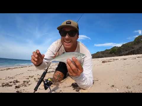 FOOD CHAIN FISHING CHALLENGE   tiny shrimp into HUGE SHARK == 2