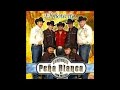 Conjunto Peña Blanca - El Derecho De Amarla