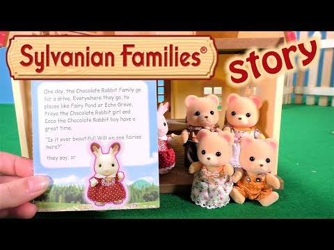 Sylvanian Families Meškiukų šeimynėlė video
