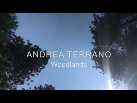 Andrea Terrano - Woodlands