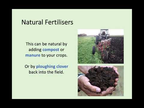 National 5 - 3.5 Food Production