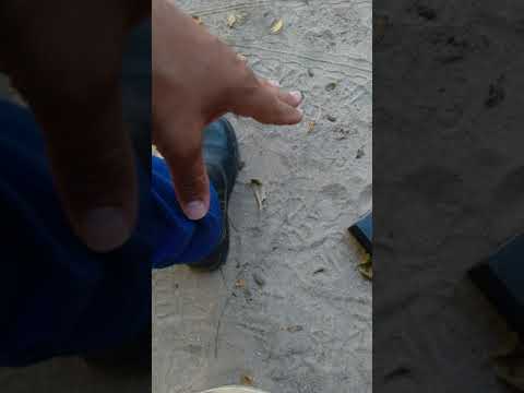 TELEKINESIS NA PRÁTICA