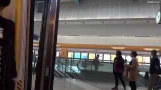 preview picture of video '【西鐵線新時代第二步】西鐵線統一開關門提示聲 - 天水圍站(月台版) MTR West Rail Line Tin Shui Wai Station'