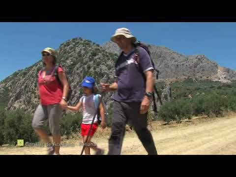 Gran Senda de M�laga. Etapa 8: Canillas de Aceituno-Periana