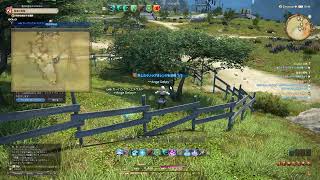 【女性実況】FINAL FANTASY XIV / FF 14【初プレイ/チュートリアルから】