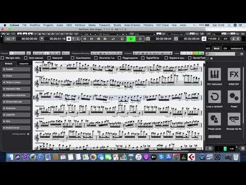 Contrappunti (Le Orme 1974) Musical Performance by Massimo Palumbo