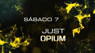 3 AL 8 DE NOVIEMBRE 2015  OPIUM MADRID