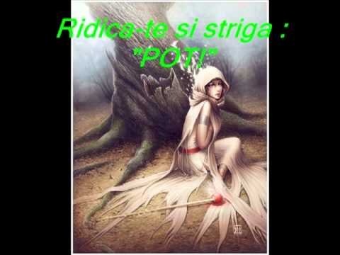 Ridica-te si striga POT.wmv