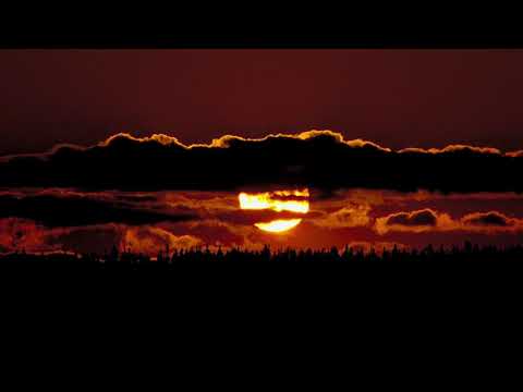 Crackling Campfire, Lots of Night Bugs, & Loons Calling At Night - {20 Minutes} *With Music*