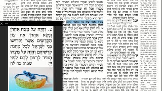 דף יומי מסכת שבועות דף ט Daf yomi Masechet Shevuot page 9  ע"י יוני גוטמן (שיעורי הדף היומי ב-20 דקות – מועבר ע"י ר' יוני גוטמן – לעילוי נשמת אביו ר' אלימלך צבי (צביקה) גוטמן ז"ל) - התמונה מוצגת ישירות מתוך אתר האינטרנט יוטיוב. זכויות היוצרים בתמונה שייכות ליוצרה. קישור קרדיט למקור התוכן נמצא בתוך דף הסרטון