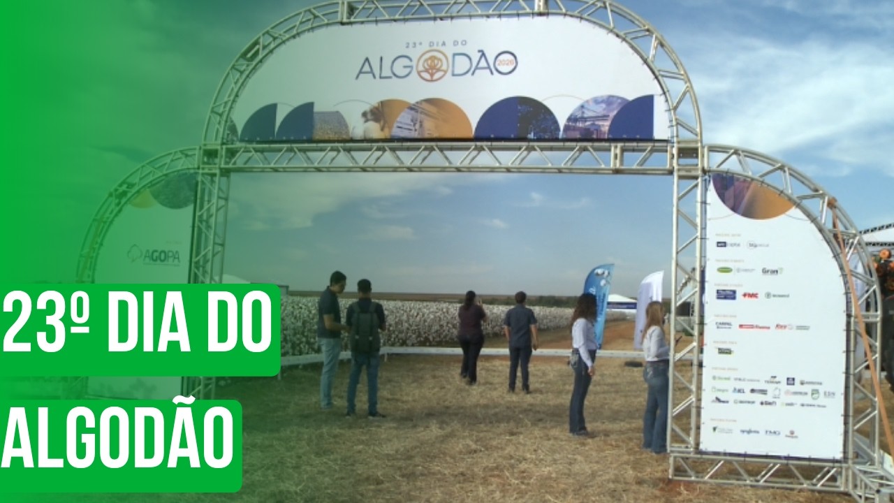 23º Dia do Algodão