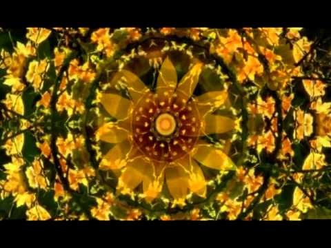 Eigenresonanz - Die ersten 10 Minuten Gratis!