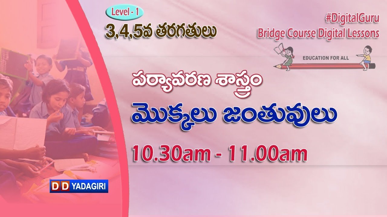 (Level-1) 3,4,5th EVS Classes || మొక్కలు జంతువులు || School Education || July 05, 2021