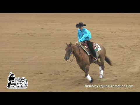 Magneto ridden by Saar Ben-Hamo  - 2014 NRBC (Open Classic 1st Go (Sec. 1)