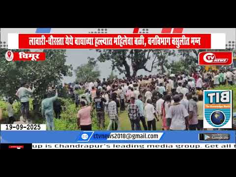 Chimur  | लावारी- चौरस्ता येथे वाघाच्या हल्ल्यात महिलेचा बळी, वनविभाग वसुलीत मग्न