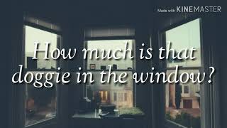 How Much Is That Dog In The Window? - Patti Page (Lyrics)